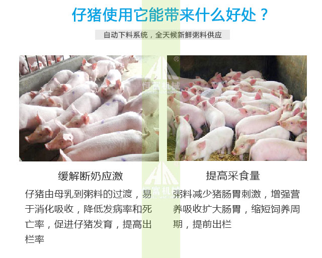 智能喂料機 智能喂料機